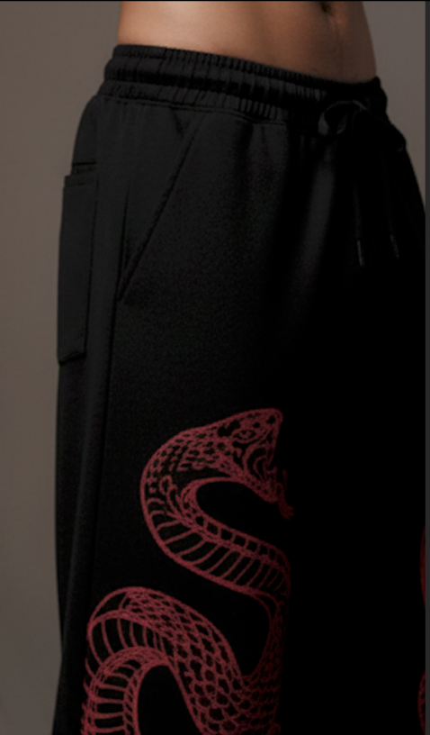 THE PYTHON UNISEX BAGGY PANTS | ALTR