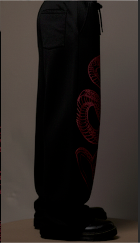THE PYTHON UNISEX BAGGY PANTS | ALTR